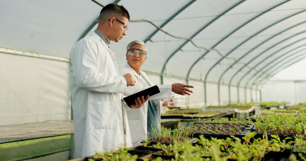 Cosa Posso Fare Con Diploma Di Perito Agrario Agape Formazione